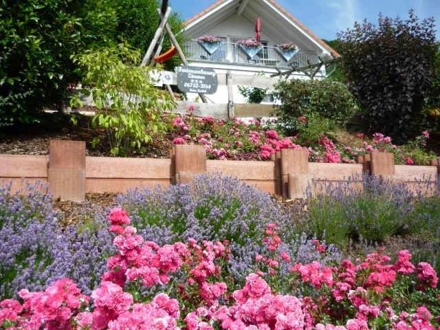 Gastehaus Rosengarten Im Nahetal Kirn Номер фото