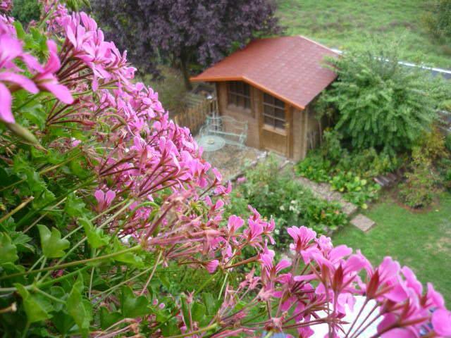 Gastehaus Rosengarten Im Nahetal Kirn Номер фото