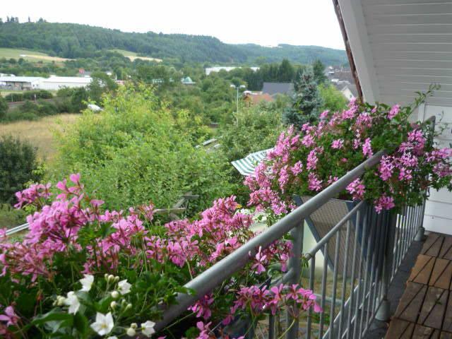 Gastehaus Rosengarten Im Nahetal Kirn Номер фото